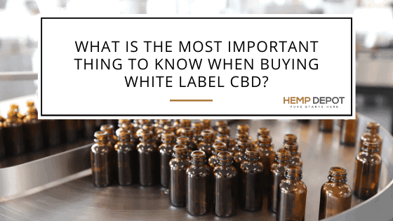 buying white label cbd