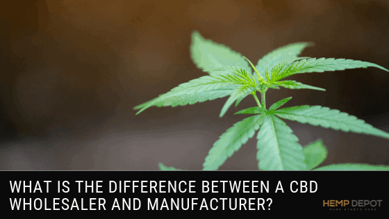 What Is the Difference Between a CBD Wholesaler and Manufacturer?