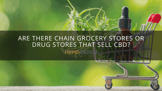 Are there Chain Grocery Stores or Drug Stores that Sell CBD?