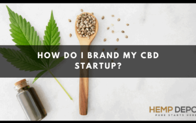 How Do I Brand My CBD Startup?