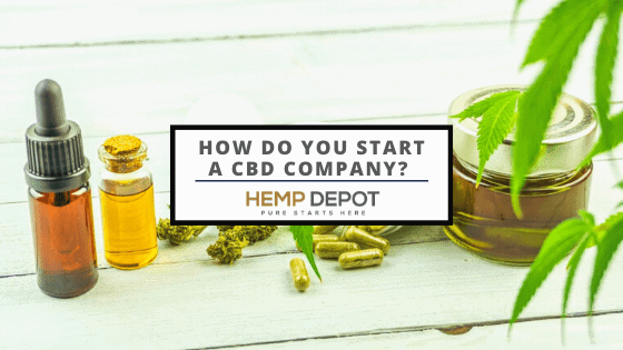 How Do You Start a CBD Company?