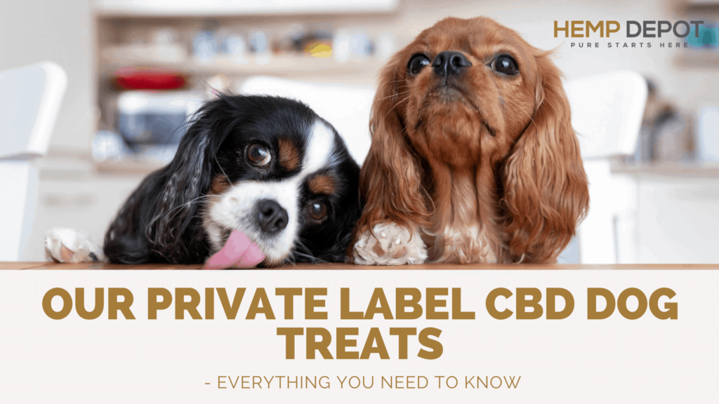 Private Label CBD Dog Treats