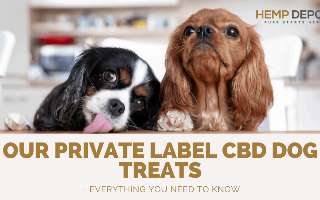 Our Private Label CBD Dog Treats – Everything You Need to Know