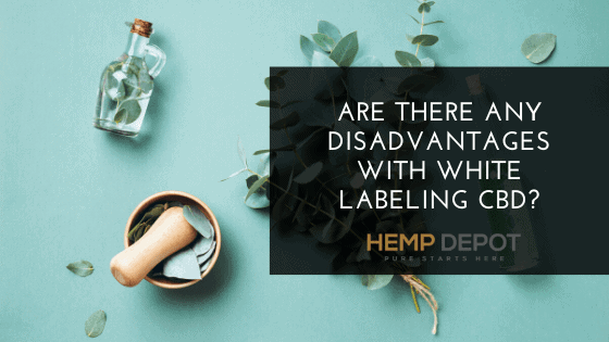 Are There Any Disadvantages with White Labeling CBD?