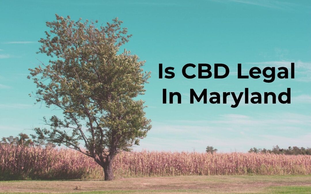 Is CBD Legal In Maryland