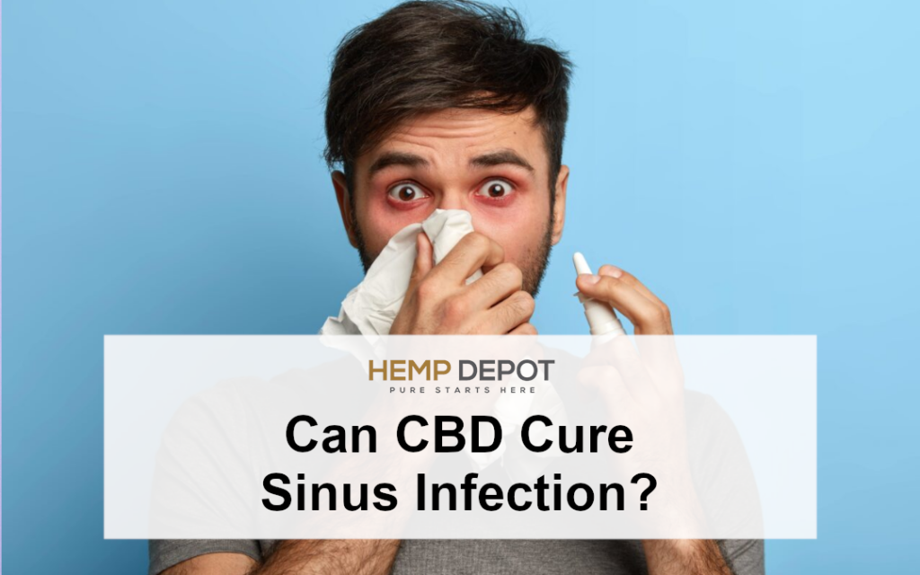 cbd for sinus infections