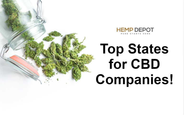 Top States for CBD Companies
