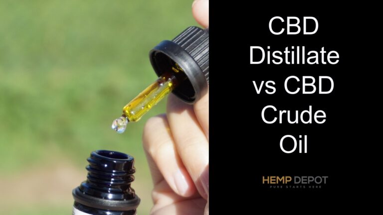 CBD Distillate vs CBD Crude Oil