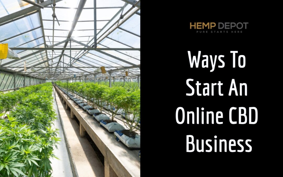 Ways To Start An Online CBD Business
