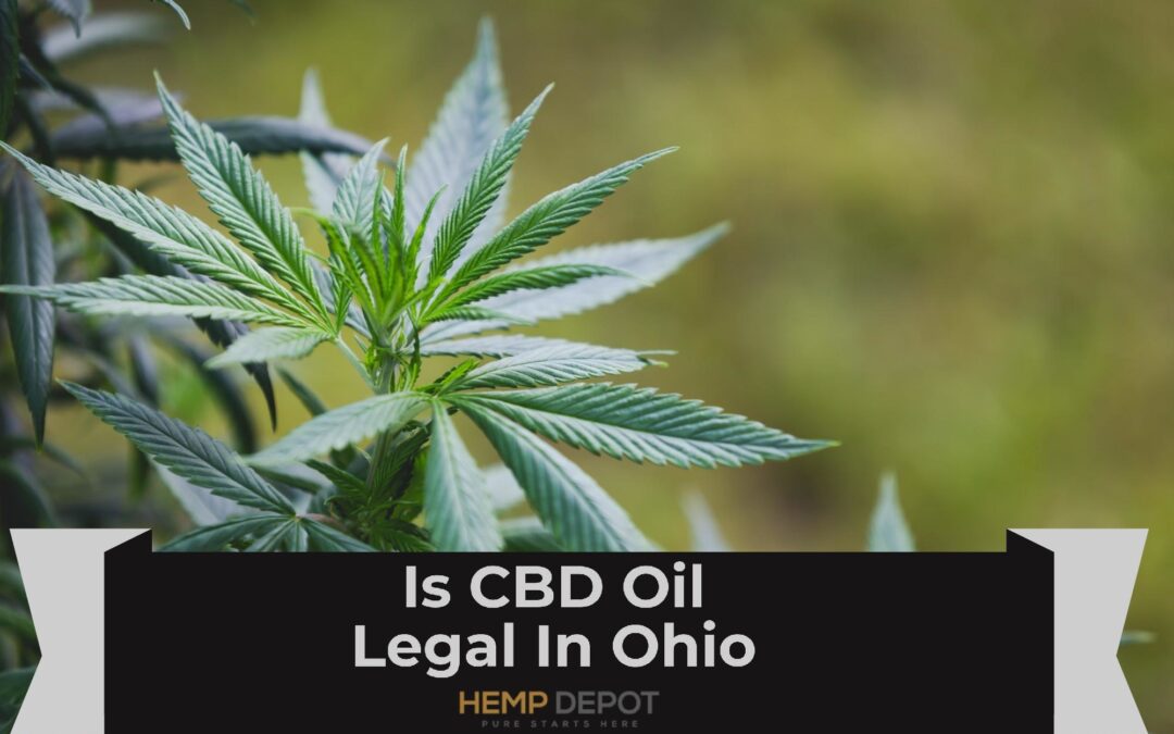 Is CBD Oil Legal In Ohio