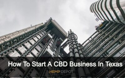 How To Start A CBD Business In Texas