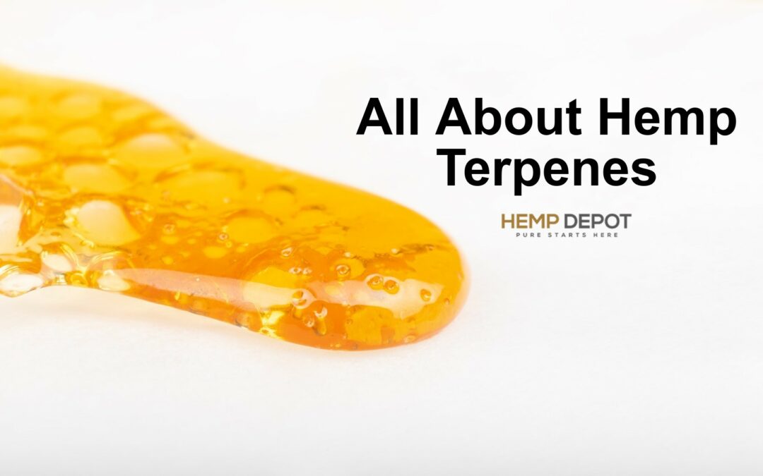 All About Hemp Terpenes