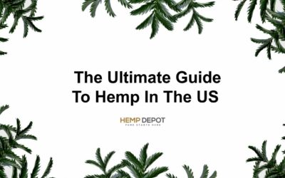 What Is Hemp? And The Ultimate Guide To Hemp In The US