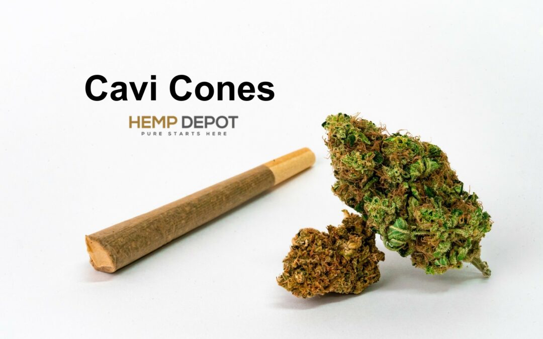 What Exactly Are Cavi Cones: A Complete Guide