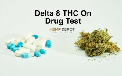 Does Delta THC 8 Show Up On A Drug Test