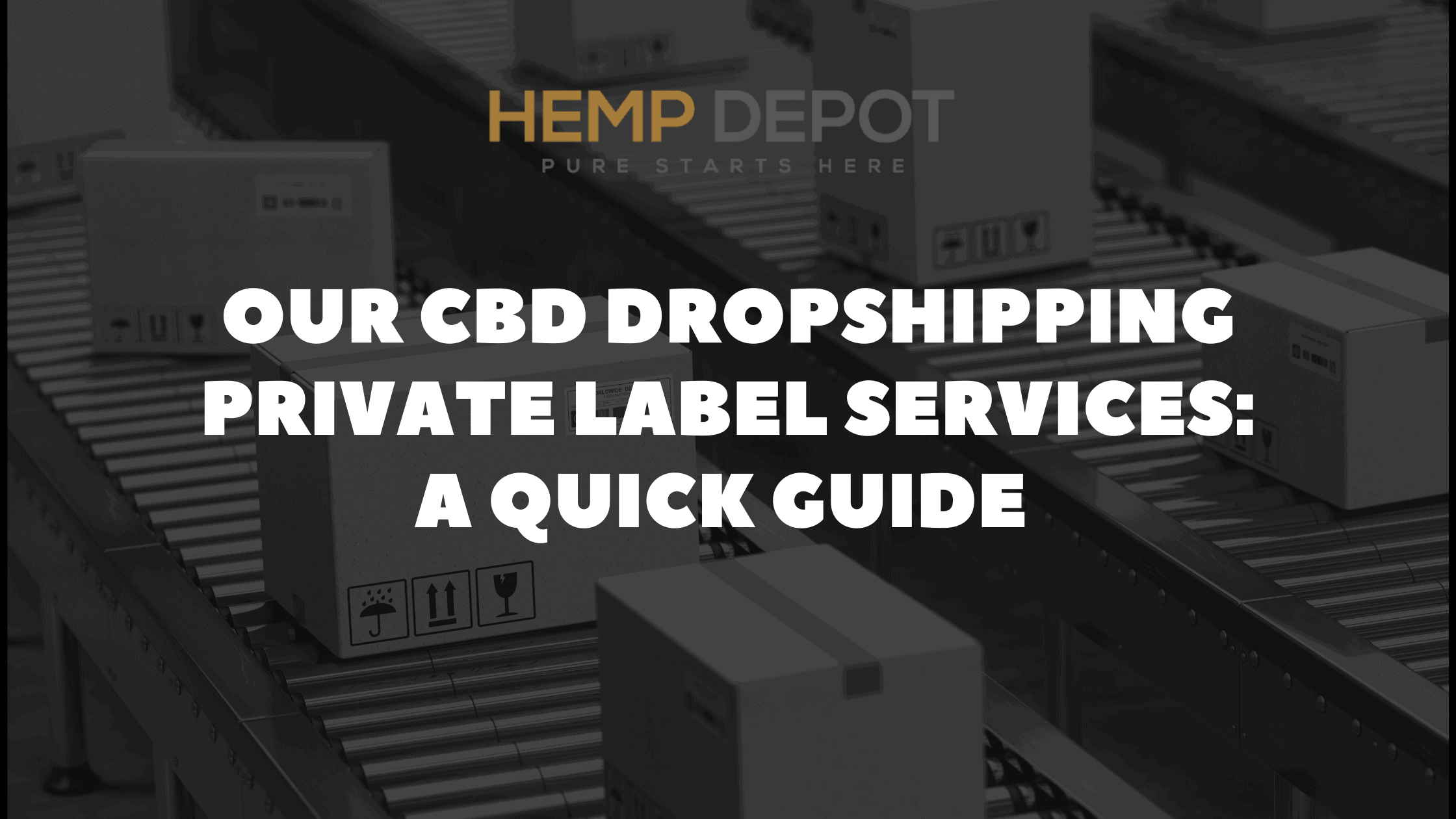 Our CBD Dropshipping Private Label Services A Quick Guide Hemp Depot