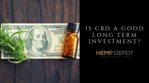 Is CBD a Good Long Term Investment? - Hemp Depot Wholesale